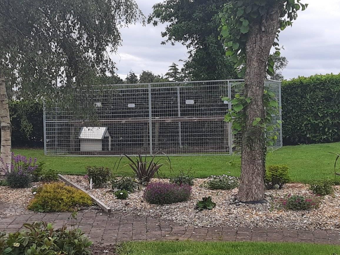 Dog Pens Ireland Dog Pens Ireland A Dogs Best Pen