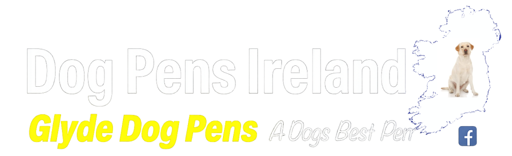 dpireland logo (1)