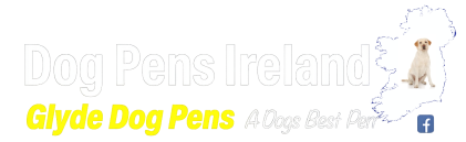 dpireland logo