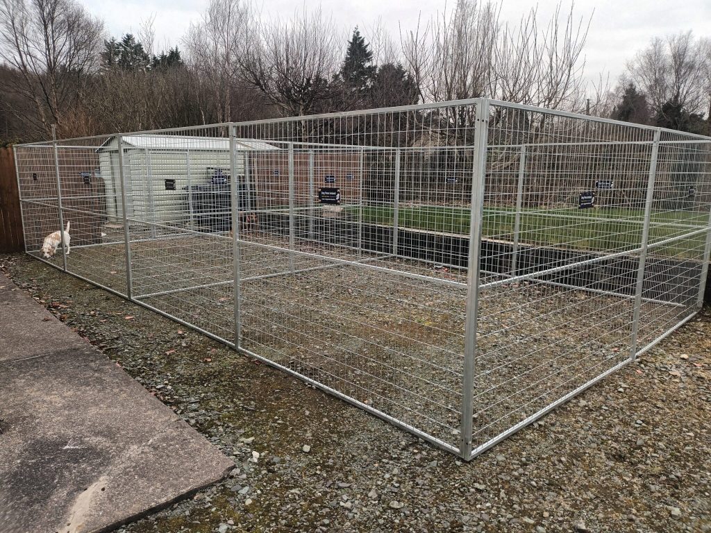 20230304 120324 2048x1536 (1)